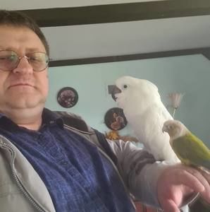 Meet your Posher, Vilius